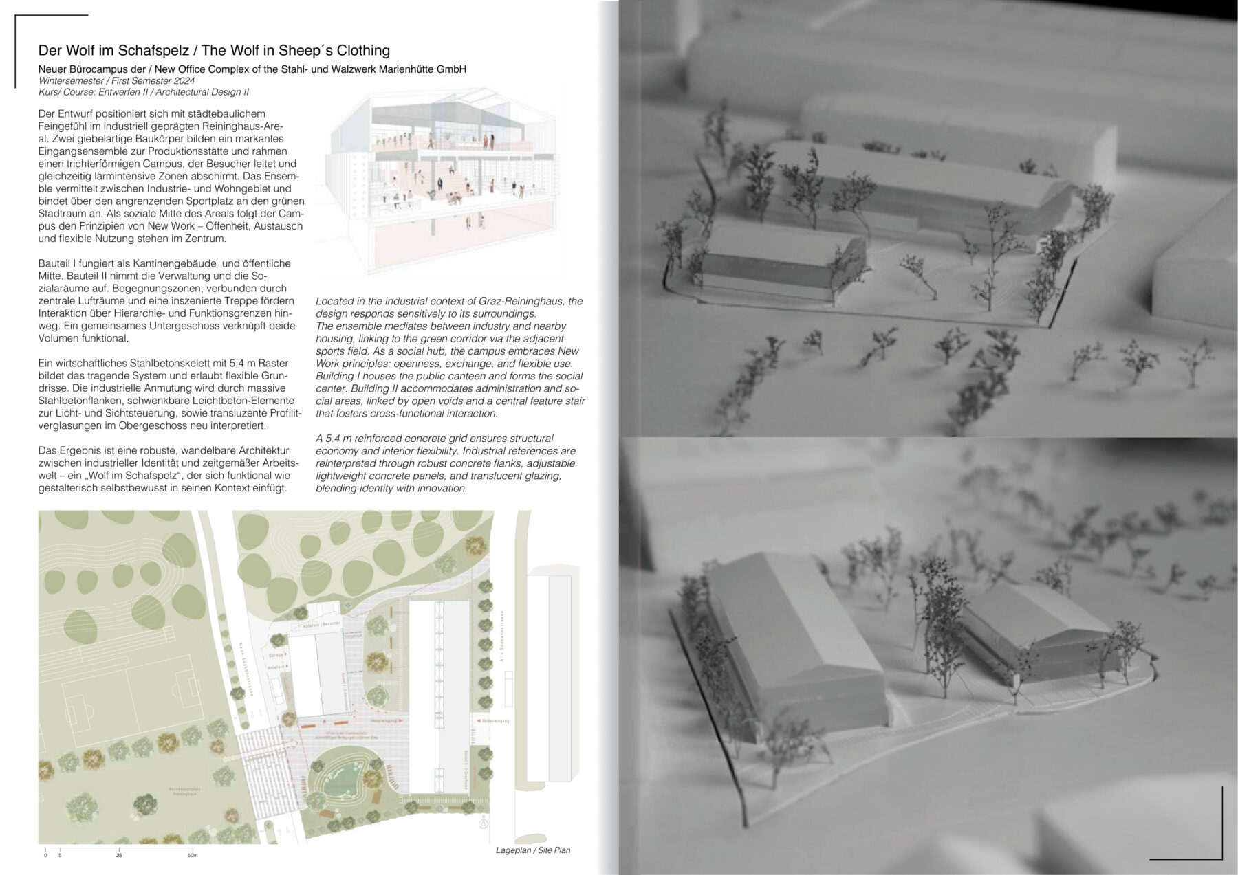 Der Wolf im Schafspelz
